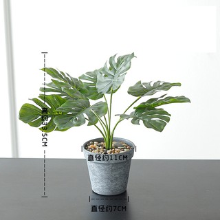 Chậu cây hoa giả phong cách Bắc Âu vân xám trắng 34cm - Cây lá rùa