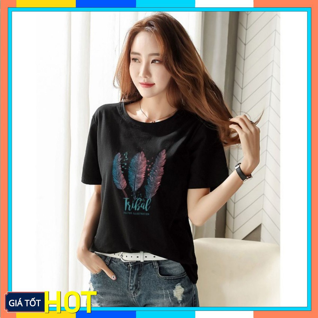 Áo Thun Nữ Cổ Tròn 👑FREESHIP👑 Áo phông nữ thun cotton, mịn, mát, sành điệu in hình lông vũ Mã Áo M92 | BigBuy360 - bigbuy360.vn