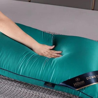 RUỘT GỐI HILTON 1.1kg