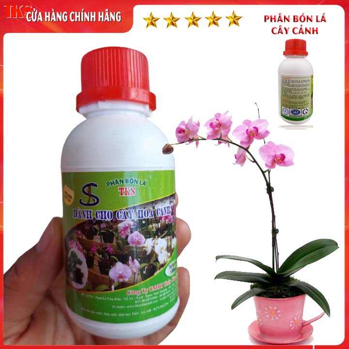 Phân Bón Lá: Chuyên Cây Cảnh - Chai 100ml