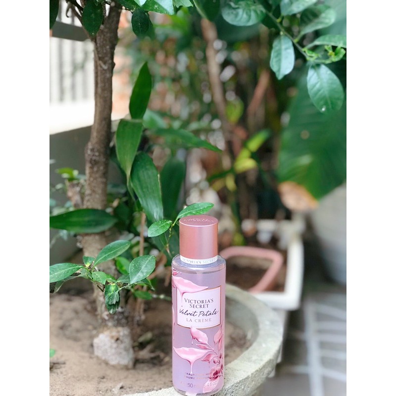 [Chiết 50ml] Xịt thơm body Victoria’s secret VELVET PETALS LACRÈME
