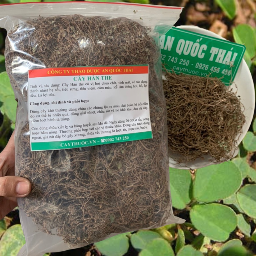 Cây Hàn The 1Kg Phơi Khô Tự Nhiên Hỗ Trợ Tiểu Đường, Tiểu Gắt, Hàng Loại 1 Chất Lượng | Thảo dược An Quốc Thái