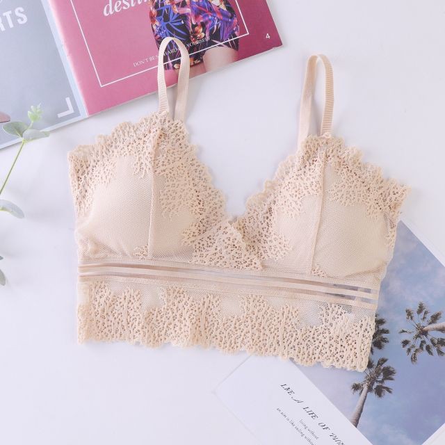 ♥️ Shop Uy Tín ♥️Áo Lót Nữ. A828.Áo Bra Ren Lưng Khoét Hở Chữ U Hàng Chuẩn Shop