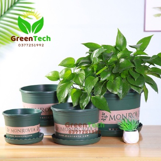 Chậu Nhựa Kèm Đĩa Size 3 - Chậu Trồng Cây Cảnh, Hoa