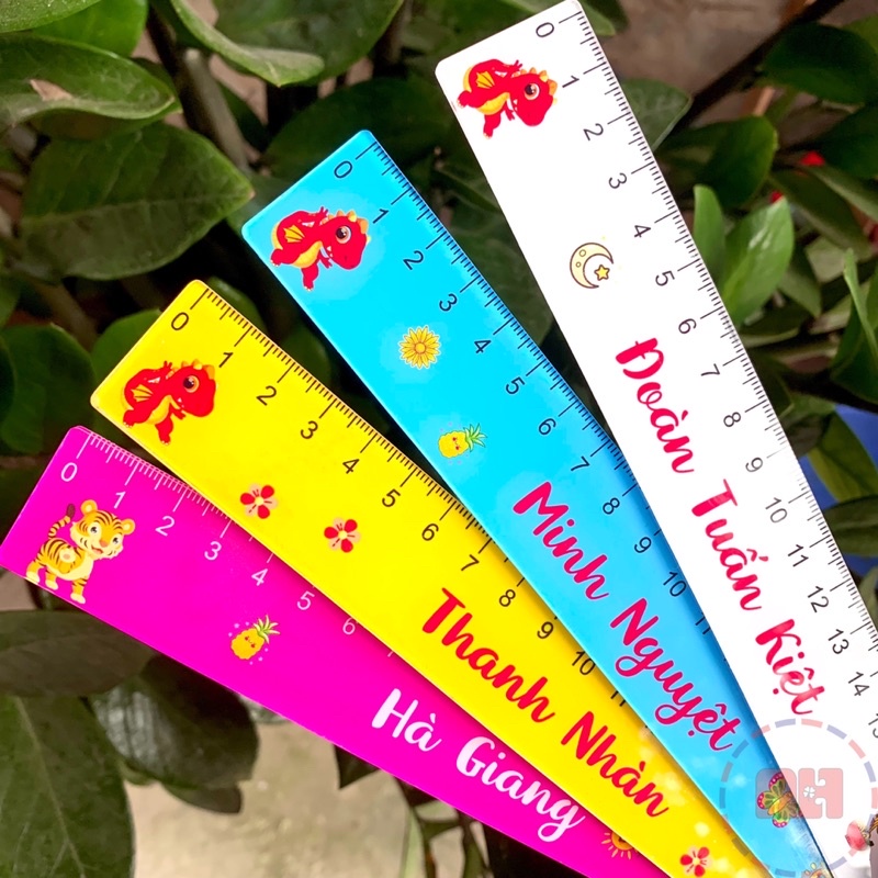 Thước Kẻ acrylic Nhiều Hình Thú Dễ Thương Cute, in tên theo yêu cầu