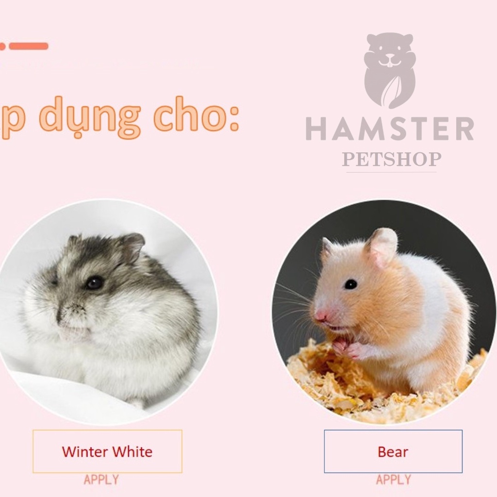 Nhà ngủ sang trọng bằng kính cho Hamster
