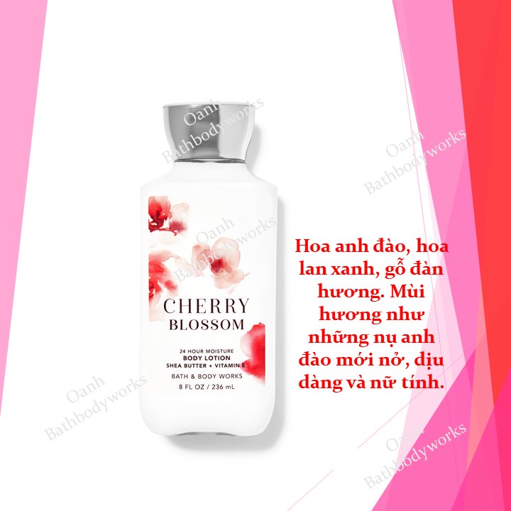 Bộ sản phẩm A Thousand Wishes/Pink Chiffon/Cactus Blossom/Cherry Blossom - BBW