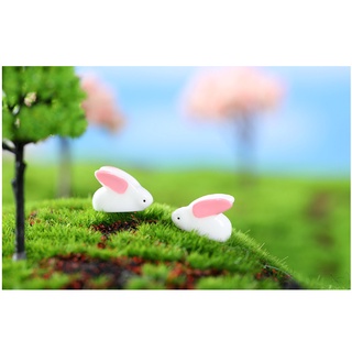 Thỏ mini mô hình trang trí sen đá, terrarium tiểu cảnh