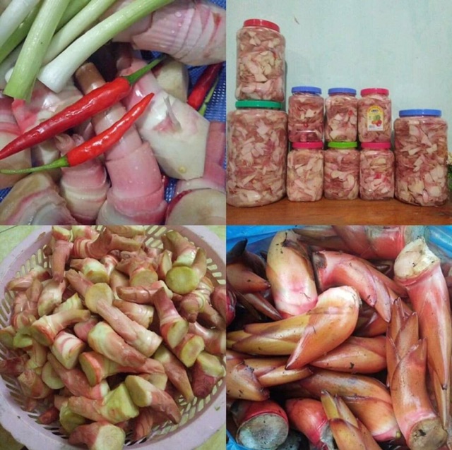 Mầm thảo quả tươi 2kg