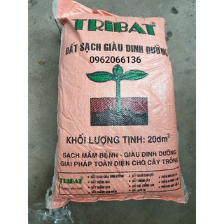 combo chậu kèm đất trồng cây