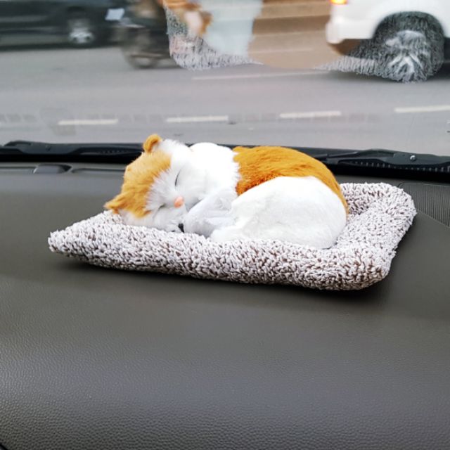 Thu bông than hoạt tính - mèo trắng vàng