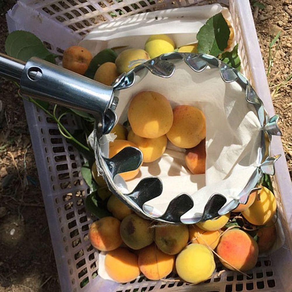 JARRED Dụng Cụ Nhặt Trái Cây Làm Vườn Tiện Lợi