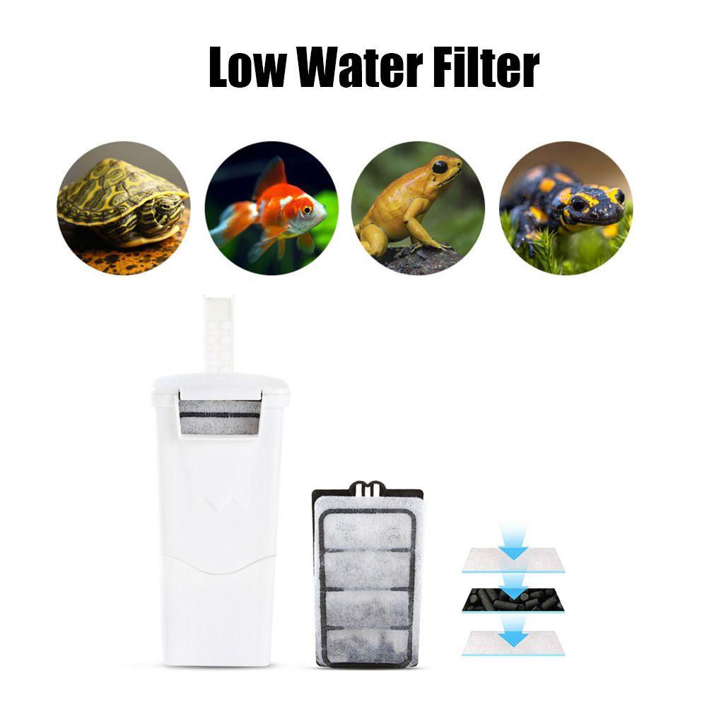 Máy Bơm Oxy Cho Bể Nuôi Rùa Tiện Dụng