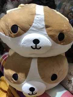 Combo 2 Gối Chó shiba