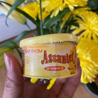 Sáp thơm để phòng Assanter loại nhỏ