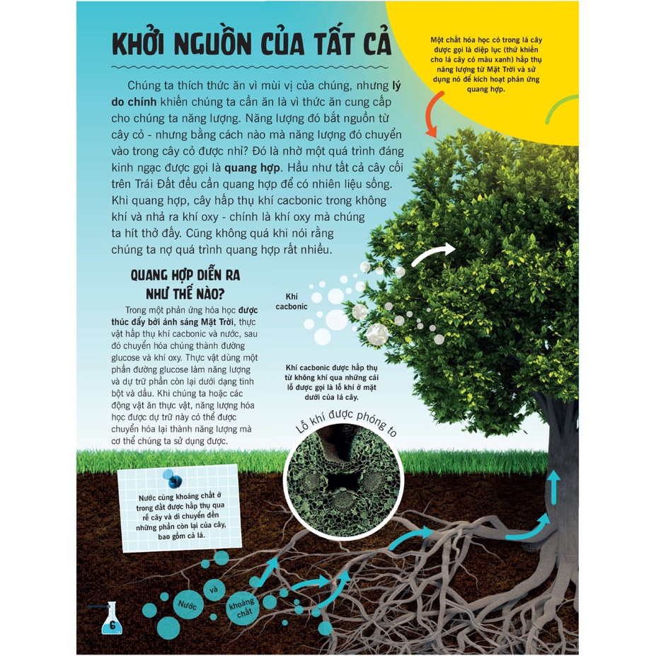 Sách - Khoa Học Ăn Được Không?