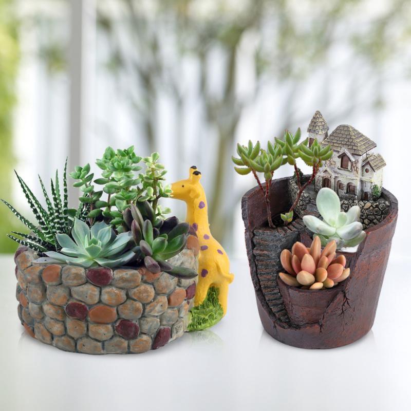 Chậu cây mini thiết kế sáng tạo