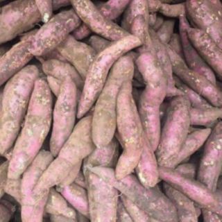 KHOAI LANG MẬT ĐÀ LẠT