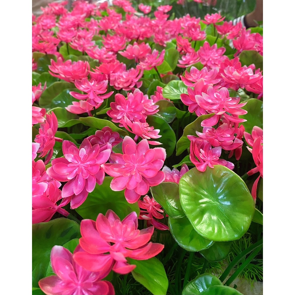 Cây sen nhựa trang trí bể cá - Cây thủy sinh