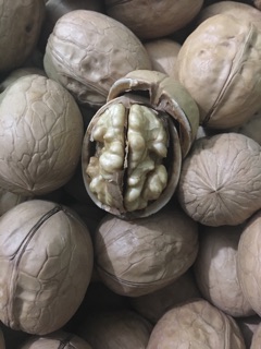 Óc chó -1kg