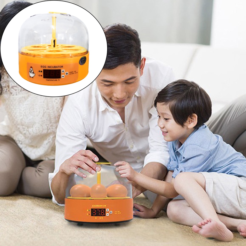 Máy ấp trứng mini tự động dành cho trẻ em
