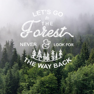 Áo Phượt LET'S GO TO THE FOREST
