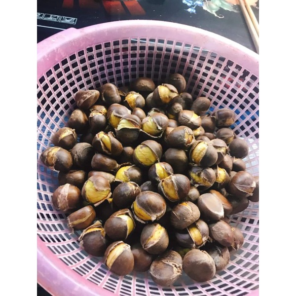 HẠT DẺ T.Ư.Ơ.I