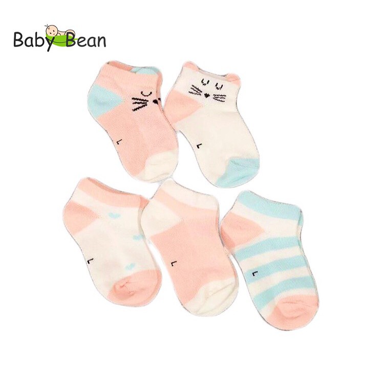 Set 5 Đôi Tất Vớ Thun Cotton Bé Sơ Sinh BabyBean (MÀU NGẪU NHIÊN)