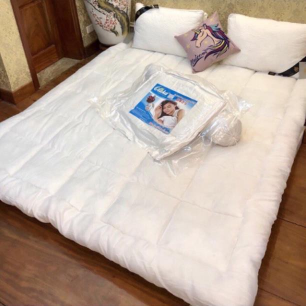 [H2 Store] Ruột Chăn Đông- Ảnh Thật