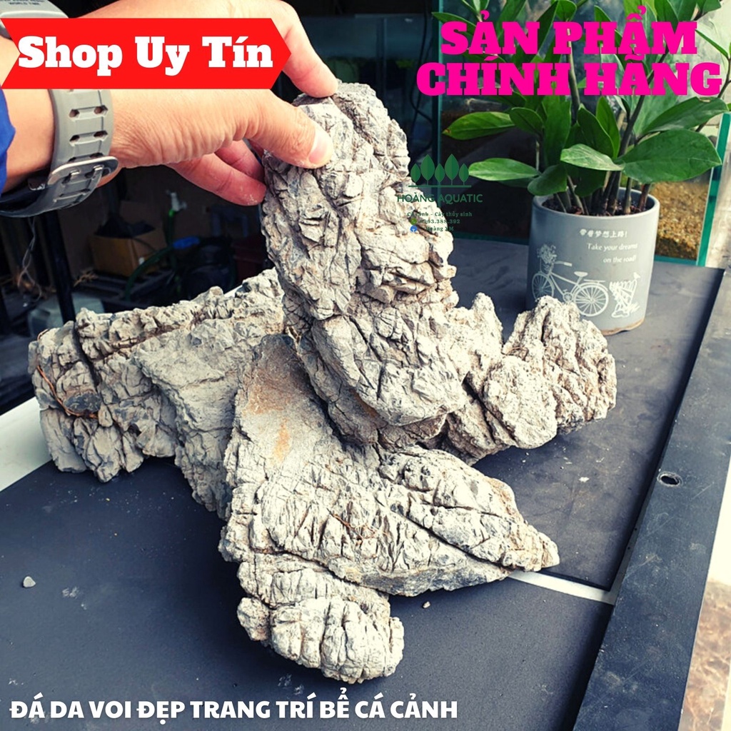 Đá Da Voi Đẹp | Trang trí Bể Cá Thủy Sinh, Phong Cách Biotope, Iwagumi