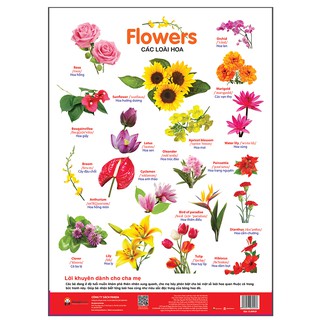 Poster - Các Loài Hoa (Flowers) - Phương pháp trực quan, sinh động, vui nhộn