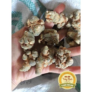 CỦ TAM THẤT BẮC KHÔ