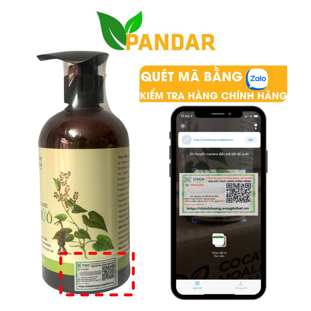 Dầu Gội Hà Thủ Ô PANDAR Giảm Rụng Tóc Bạc Tóc Kích Thích Mọc Tóc Sạch Gàu 300g 450g Cỏ cây hoa lá