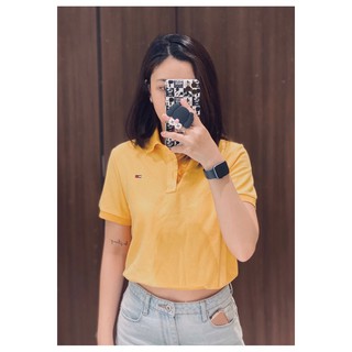 Áo thun cổ bẻ thun lửng