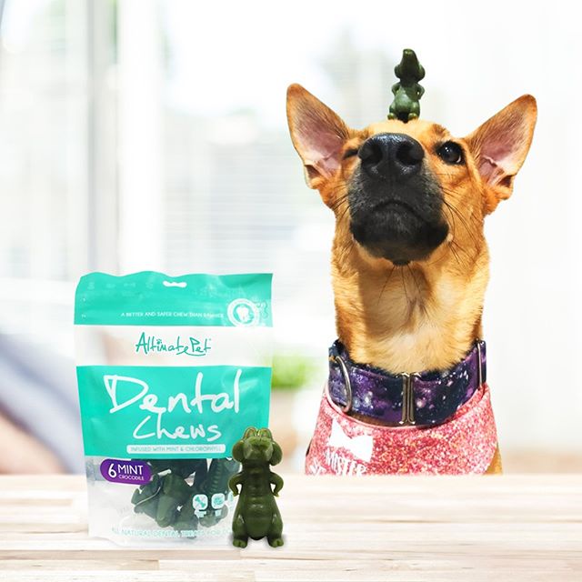 Xương gặm sạch răng Altimate Pet cho chó