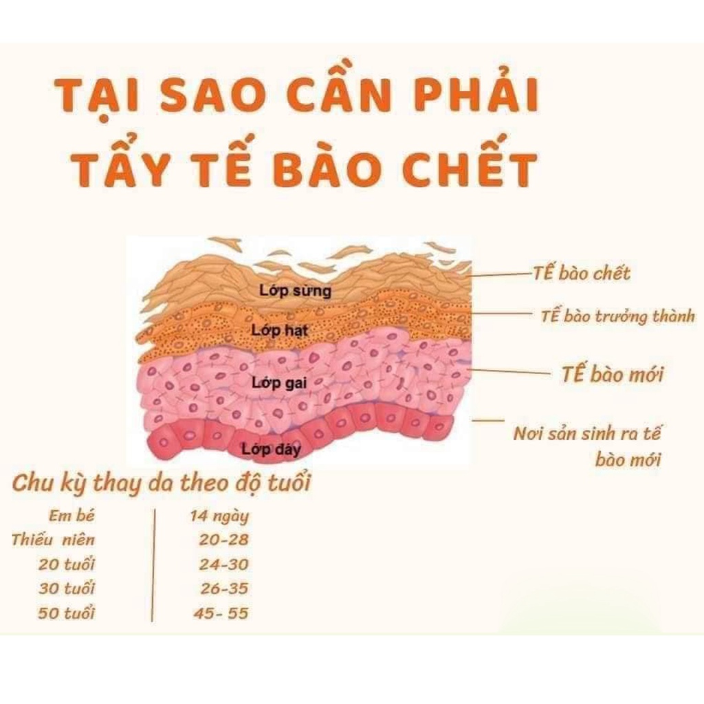 Tẩy Tế Bào Chết Vật Lý Daily Beauty Brightening Pelling Gel 120ml, Chính Hãng Lbcos Hàn Quốc