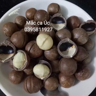 Nhân hạt Mắc ca Úc