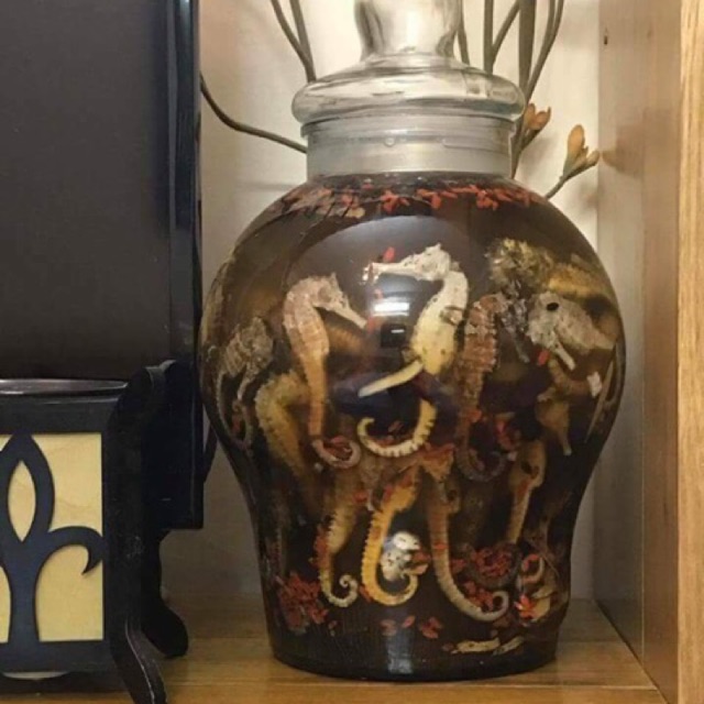 1 Cá ngựa khô