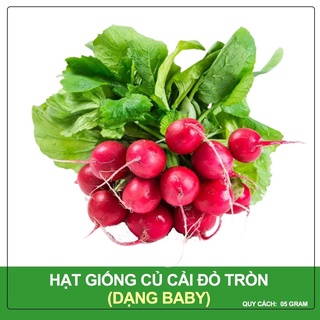 5gr hạt giống củ cải đỏ tròn lai f1