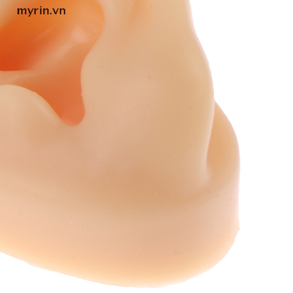 1 Mô Hình Silicone Dùng Luyện Tập Xỏ Khuyên Tai