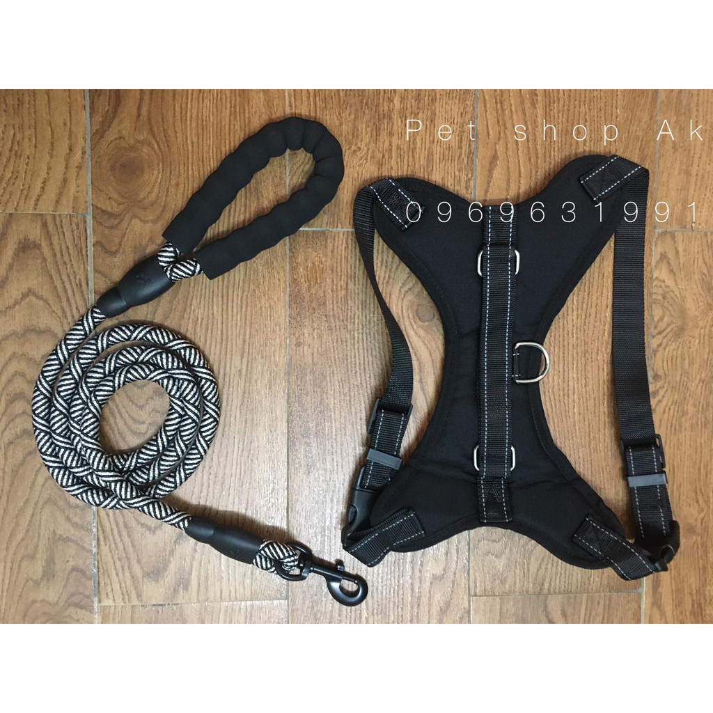 Combo đai yếm + dây dắt cho chó