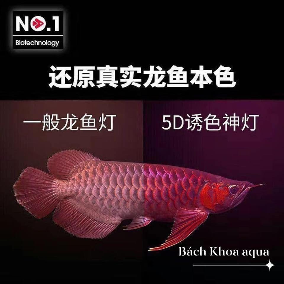 Đèn No1 5 hàng Bóng NY Aquarium Đỏ Cá Không Đỏ Nước Kích Thước 70cm 88cm 110cm 139cm 171cm