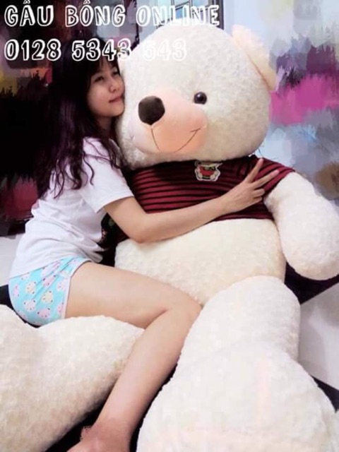 Gấu teddy bigsize 1m8