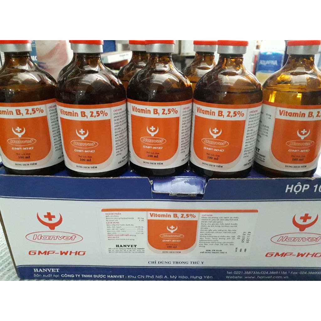 Vitamin B1 100ml. Tăng đề kháng gia súc, gia cầm, chó mèo, gà đá