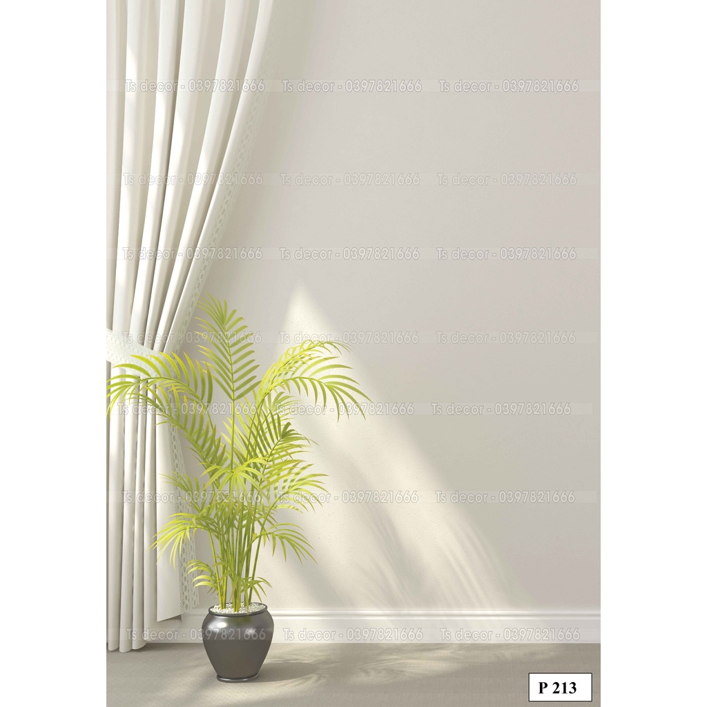 Phông Nền LiveStream Chụp Hình Ngồi Đứng 3D 5D