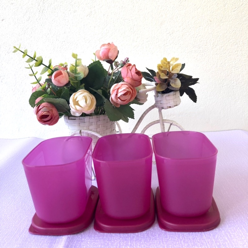Tupperware Hộp Đựng Thực Phẩm Bảo Quản Trữ Đông Trữ Mát Tủ Lạnh Hộp Nhựa Nguyên Sinh Cao Cấp 300ml - Lamian Home & Decor