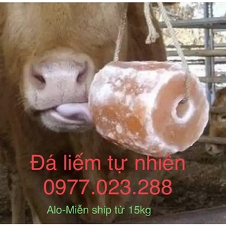 Đá muối khoáng Himalaya nhập khẩu từ Pakistan cho gia xúc  [2 - 3.5kg]