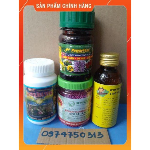 Combo bộ 4 loại phân thuốc chăm lan
