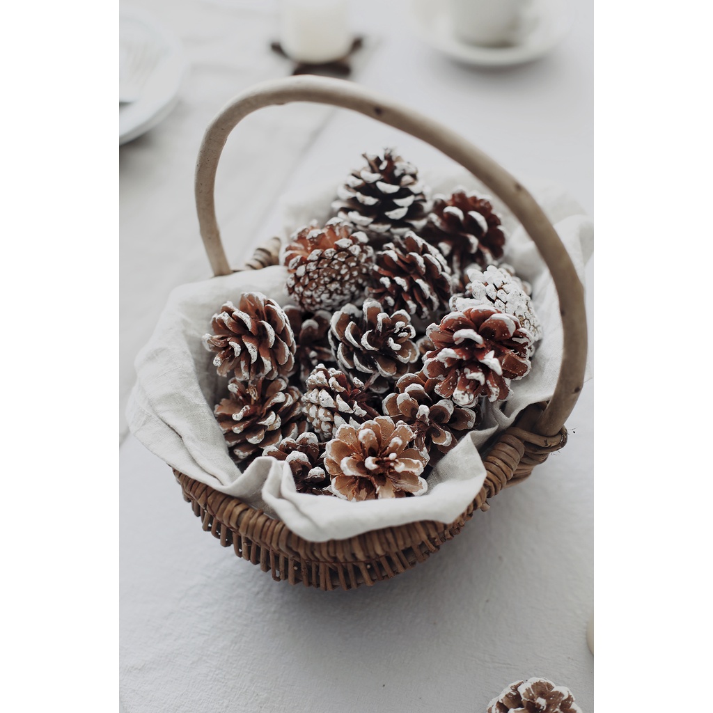 BST Hoa Qủa Khô Decor / Thông trái to, nở đều đẹp - Set Lá Khô, Đài Sen, Rong Rêu, Vòng Cây trang trí chụp ảnh