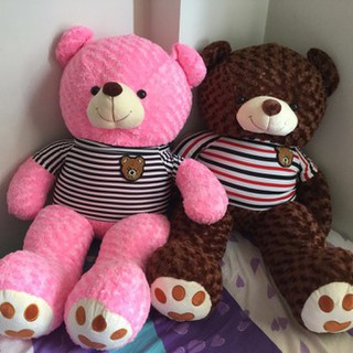 [FREESHIP-150K] GẤU TEDDY CAO 1,2M